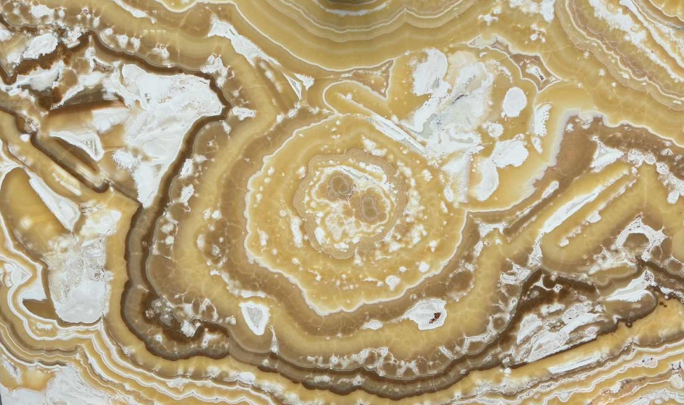 Onyx orange 252149 274x189